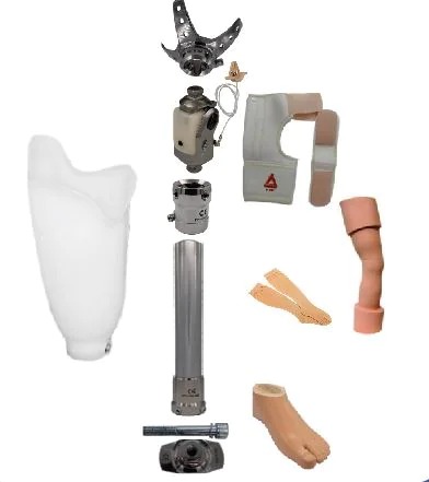 Transfemoral Prosthesis - Proactive Technical Orthopaedics