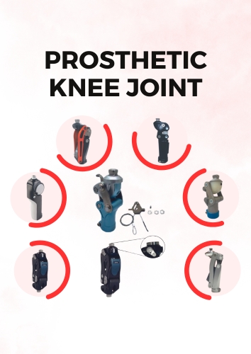 PROSTHETIC KNEE JOINTS